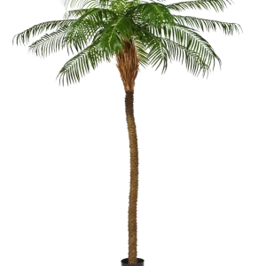 Künstliche Phoenixpalme – Zephyra | 180 cm