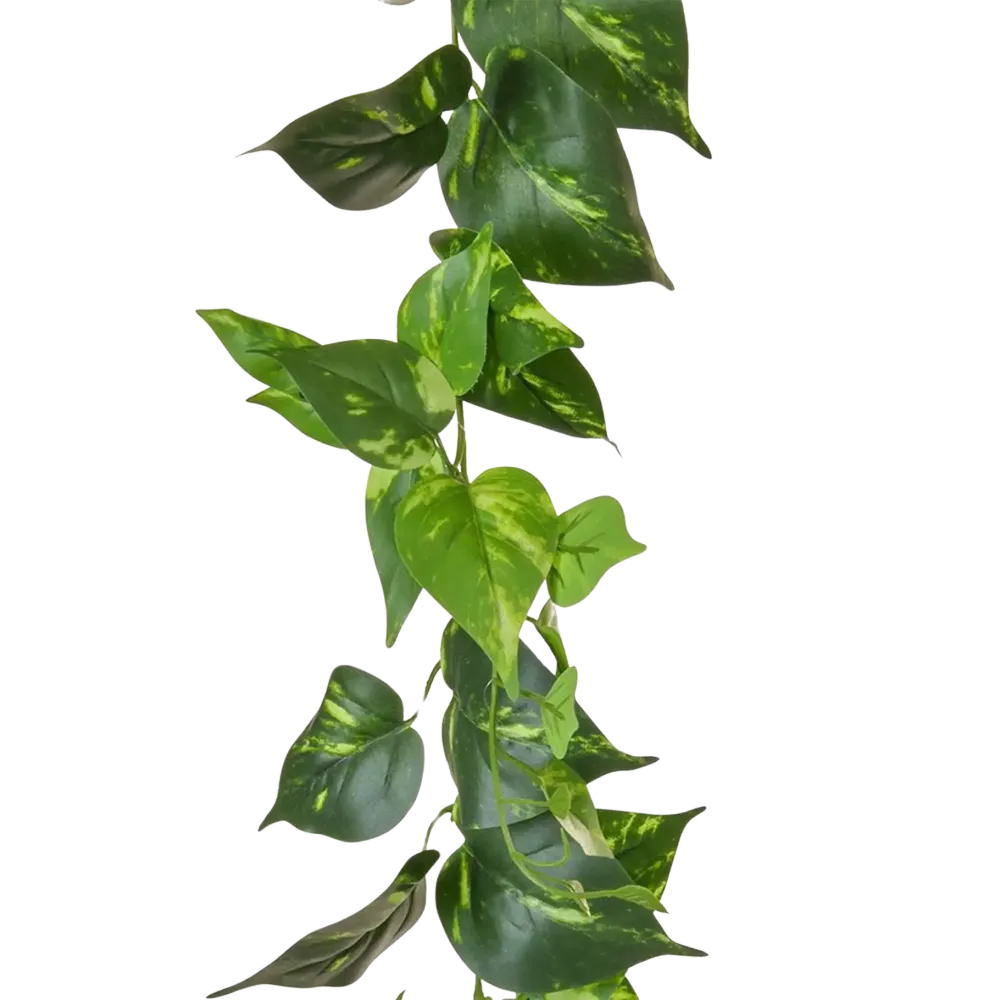 Künstliche Pothos Girlande - Christian | 220 cm