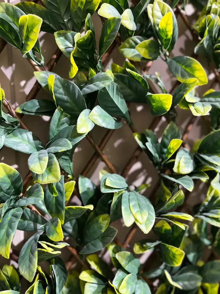 Künstliche Prunus Hecke - Nisa | 135x120 cm