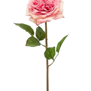 Künstliche Rose - Fleur | 60 cm