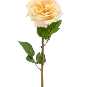Künstliche Rose - Minerva | 60 cm