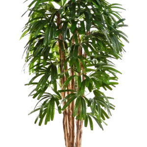 Künstliche Steckenpalme - Noemi | 210 cm