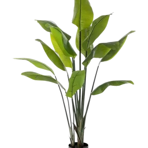 Künstliche Strelitzia - Clemens | 150 cm