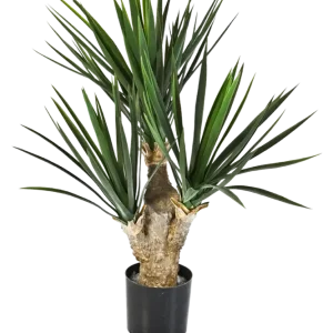 Künstliche Yucca Palme - Stefan | 68 cm
