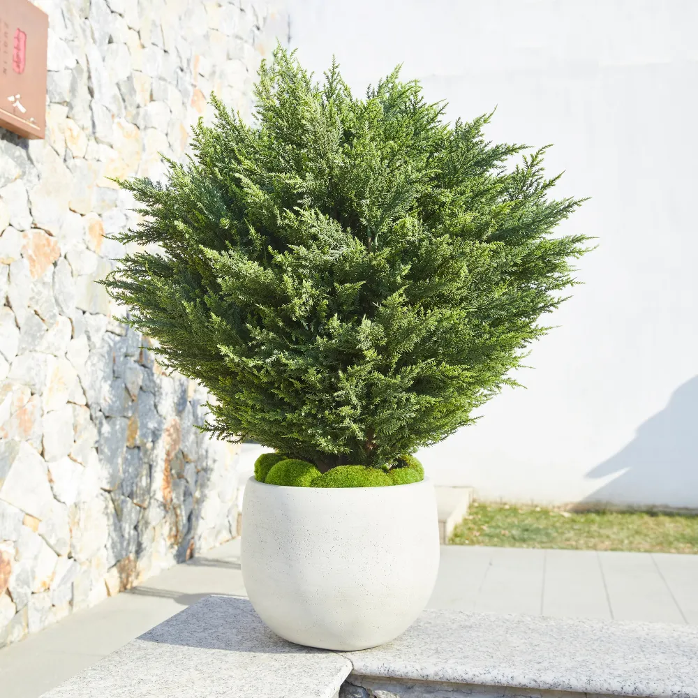 Künstliche Zypresse – Sylvano | 75 cm