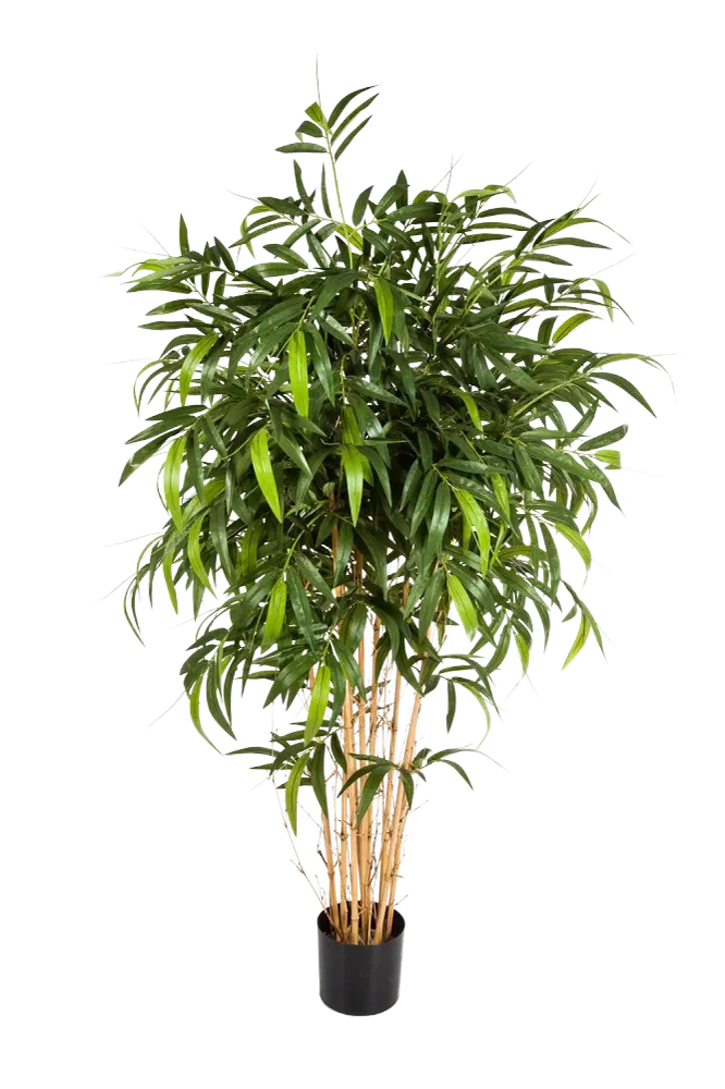Künstlicher Bambus - Maxim | 210 cm