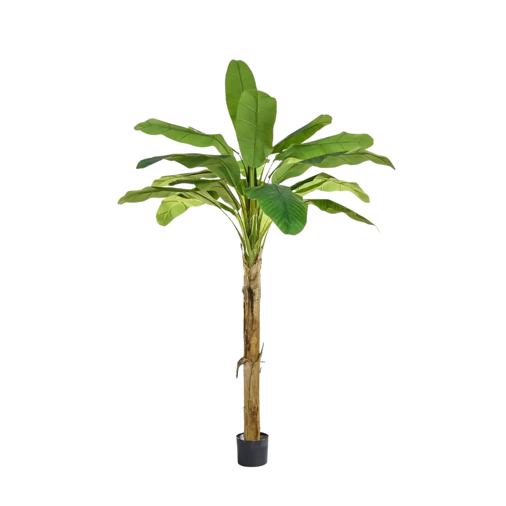 Künstlicher Bananenbaum - Jonas | 180 cm