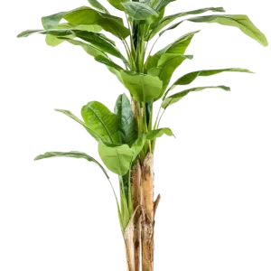 Künstlicher Bananenbaum – Maliora | 210 cm