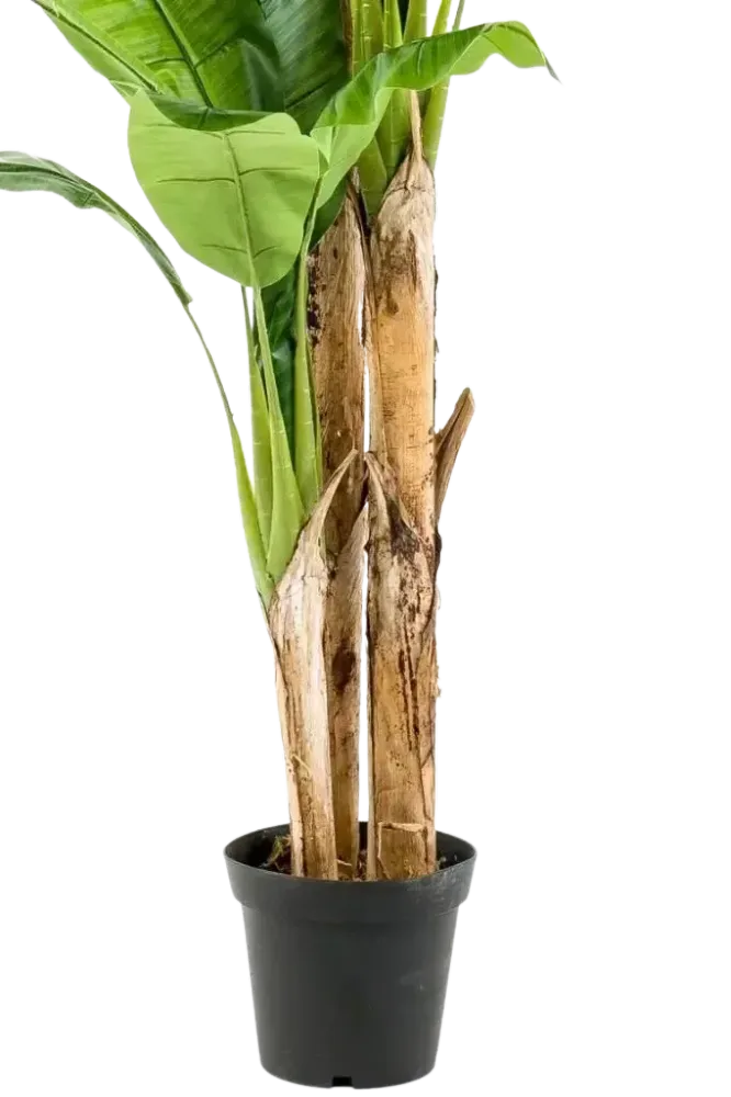 Künstlicher Bananenbaum – Maliora | 210 cm