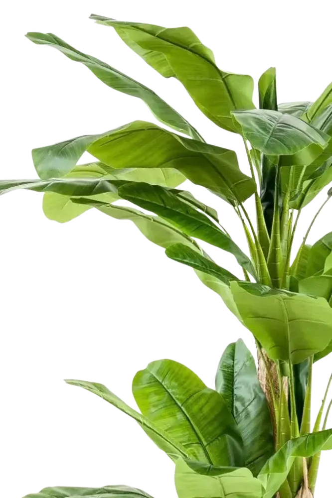 Künstlicher Bananenbaum – Maliora | 210 cm