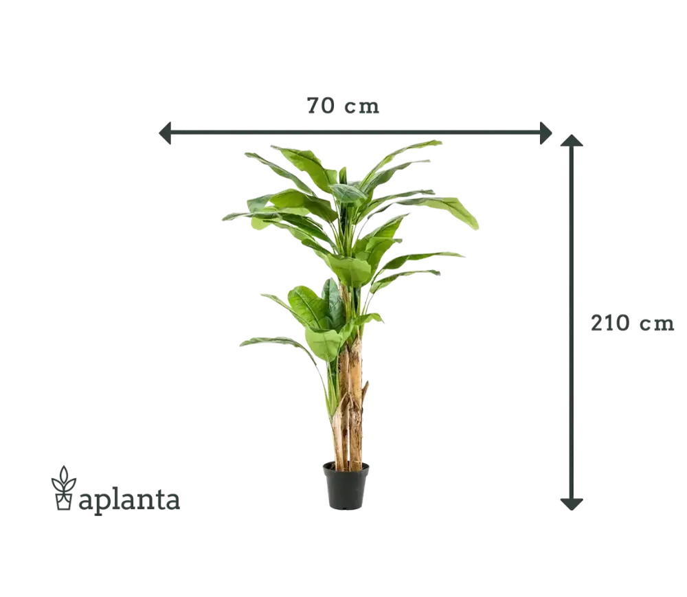 Künstlicher Bananenbaum – Maliora | 210 cm