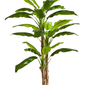 Künstlicher Bananenbaum - Pauline | 240 cm
