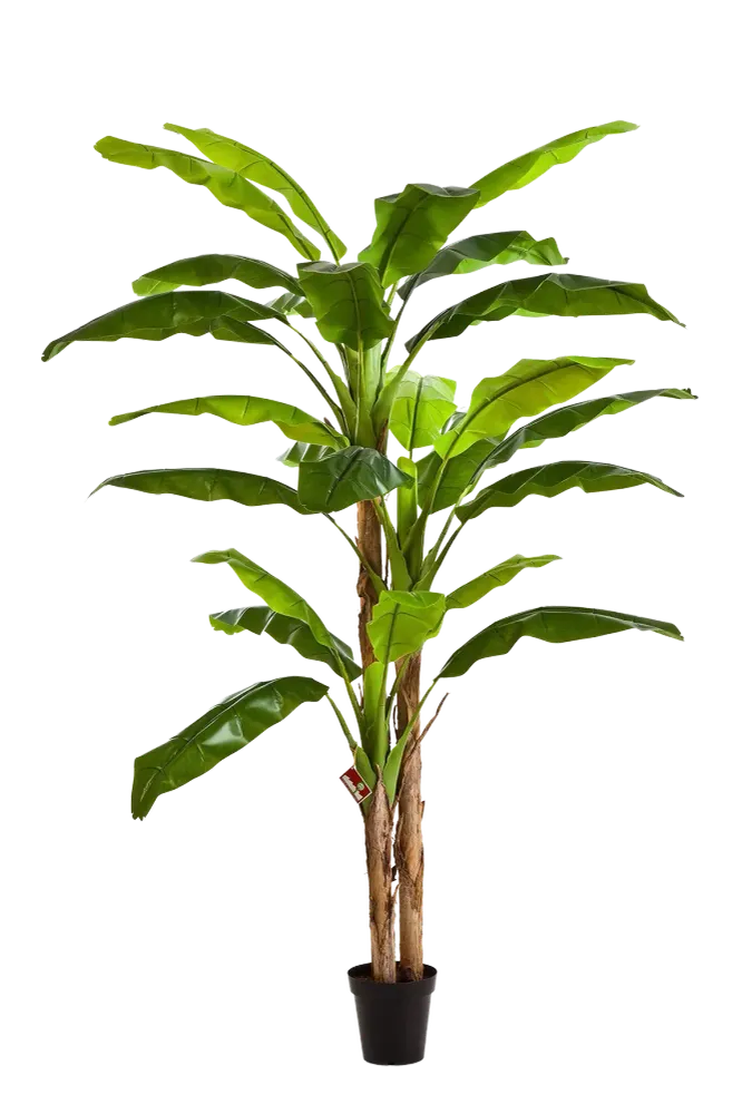 Künstlicher Bananenbaum - Pauline | 300 cm