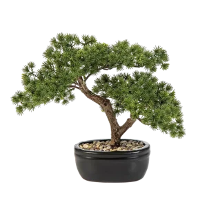 Künstlicher Bonsai - Nina | 26 cm