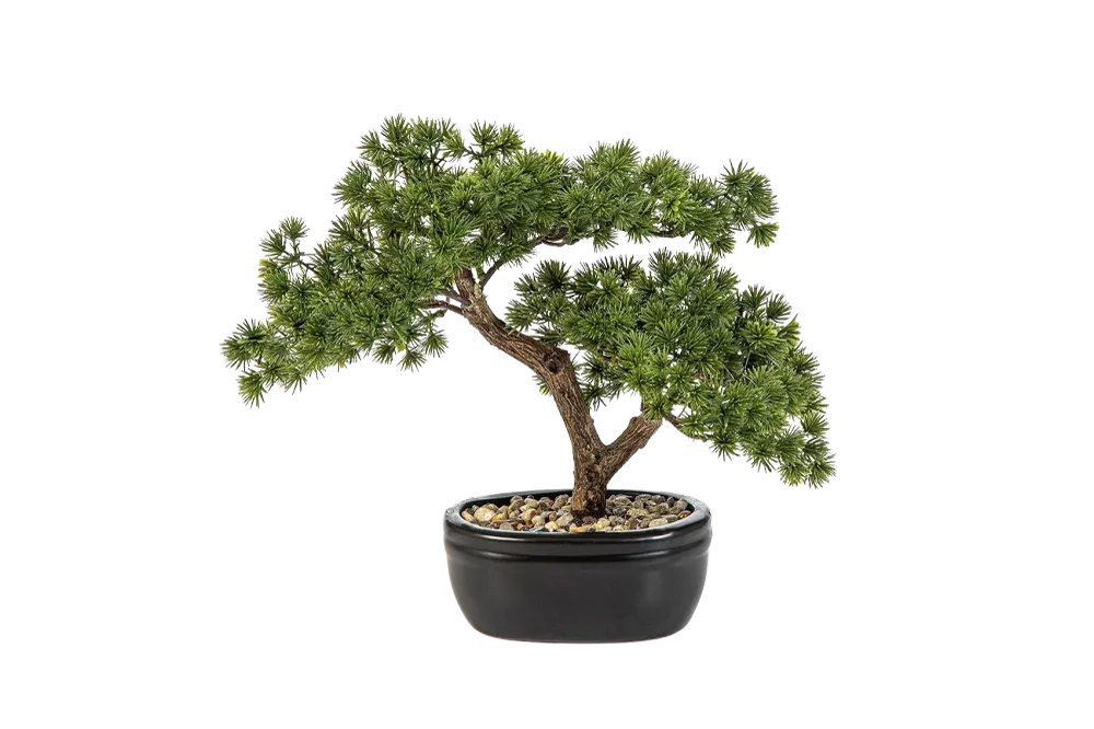 Künstlicher Bonsai - Nina | 26 cm