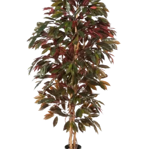 Künstlicher Capensia-Baum - Oliver | 210 cm