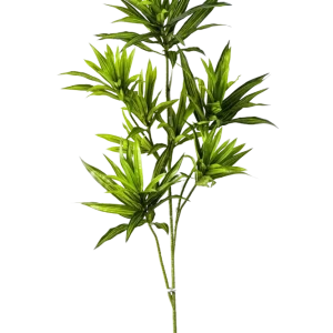 Künstlicher Drachenbaum-Zweig - Gian | 70cm