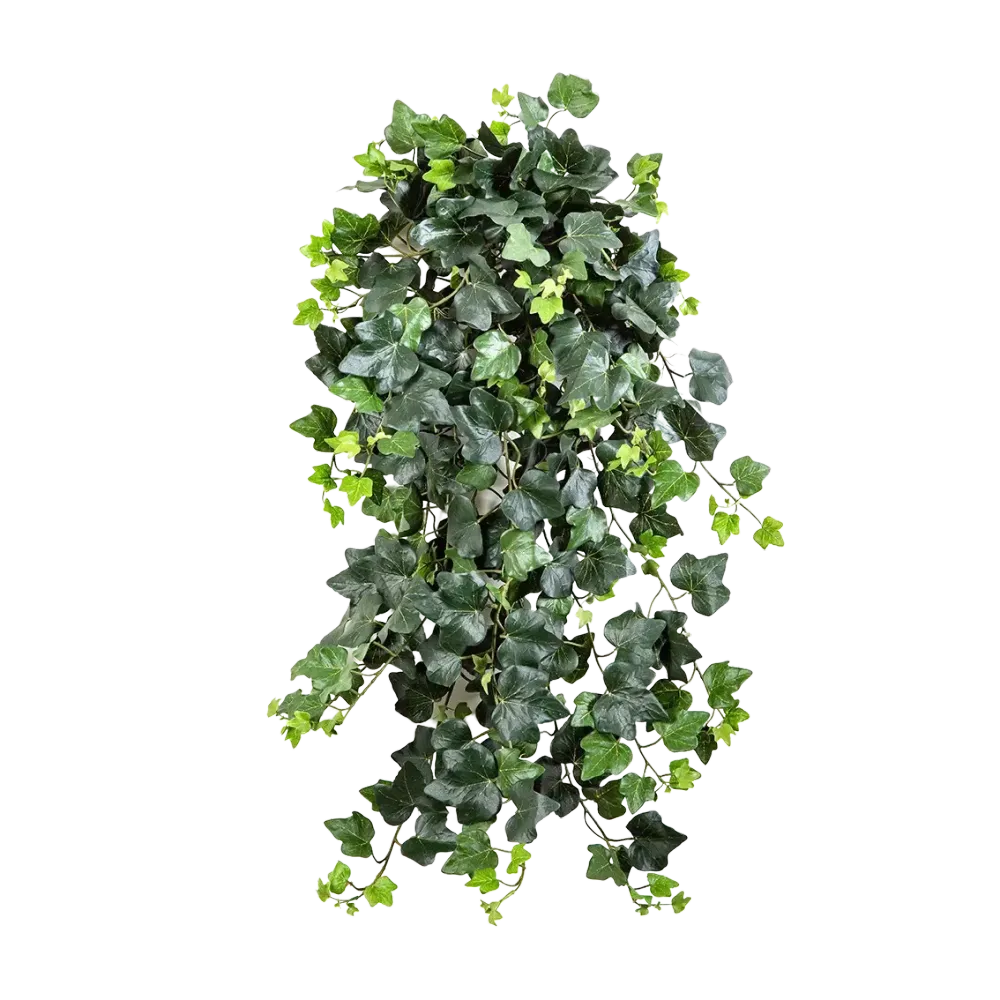 Künstlicher Efeu - Emma | 75 cm