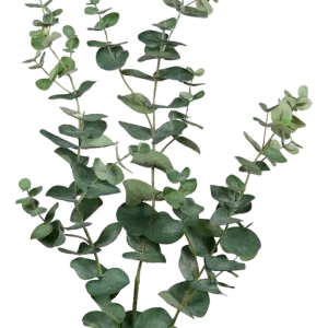 Künstlicher Eukalyptus Zweig - Cobra | 113 cm