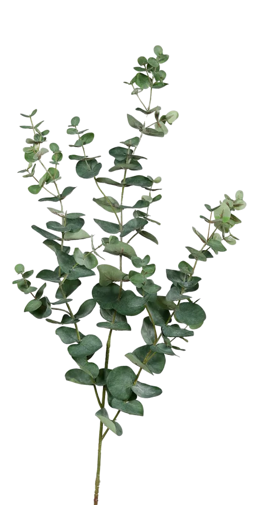 Künstlicher Eukalyptus Zweig - Cobra | 113 cm