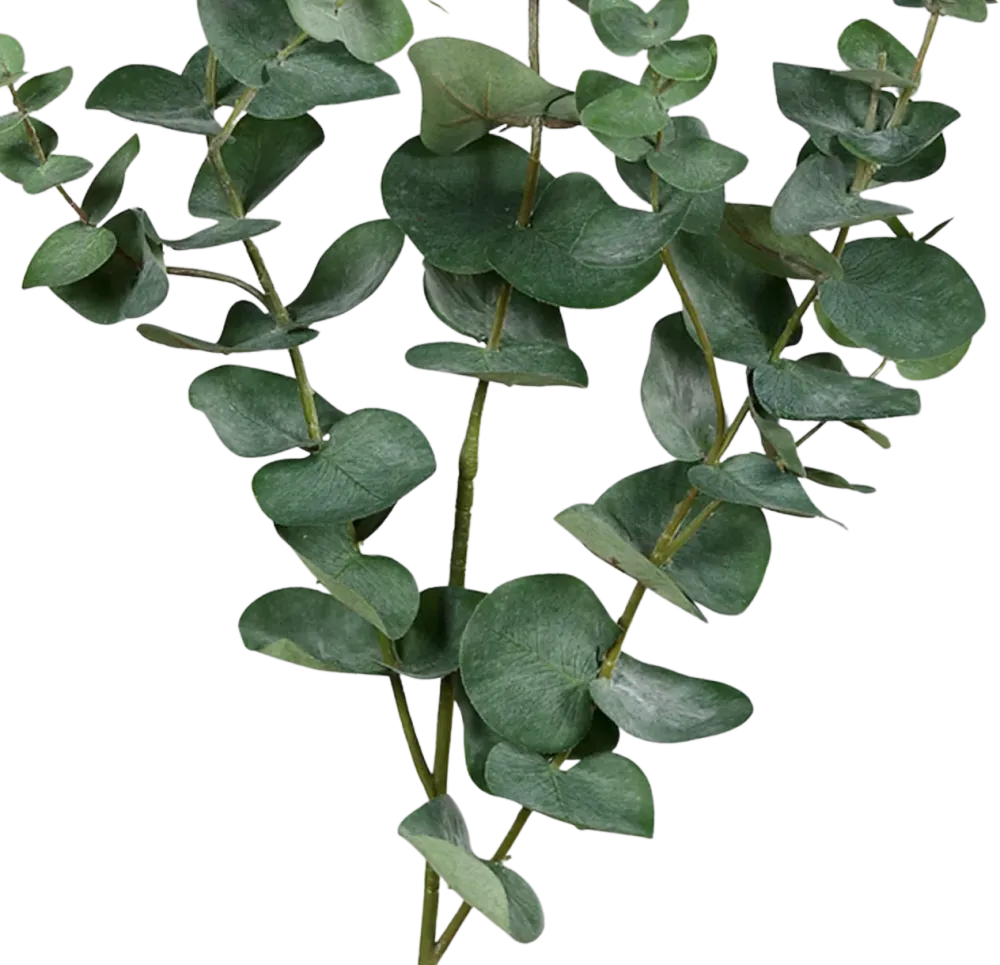 Künstlicher Eukalyptus Zweig - Cobra | 113 cm