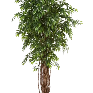 Künstlicher Ficus - Jayden | 210 cm