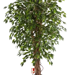 Künstlicher Ficus - Juna | 210 cm