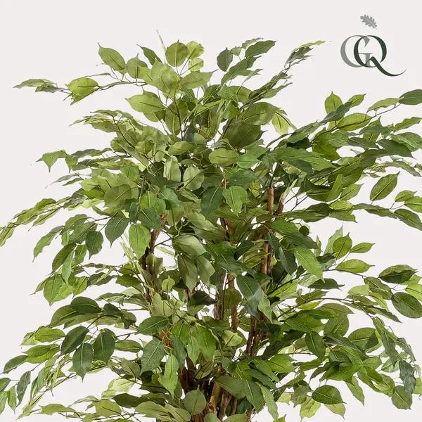 Künstlicher Ficus Liana H170cm