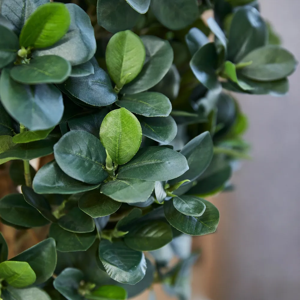 Künstlicher Ficus Panda – Tiberia | 70 cm