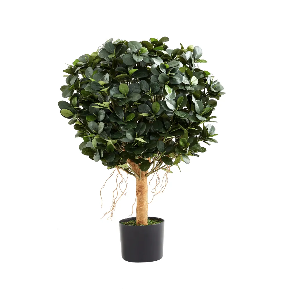 Künstlicher Ficus Panda – Tiberia | 70 cm