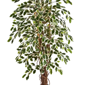 Künstlicher Ficus – Ravian | 150 cm