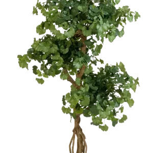 Künstlicher Gingko - Titus | 145 cm feuerhemmend