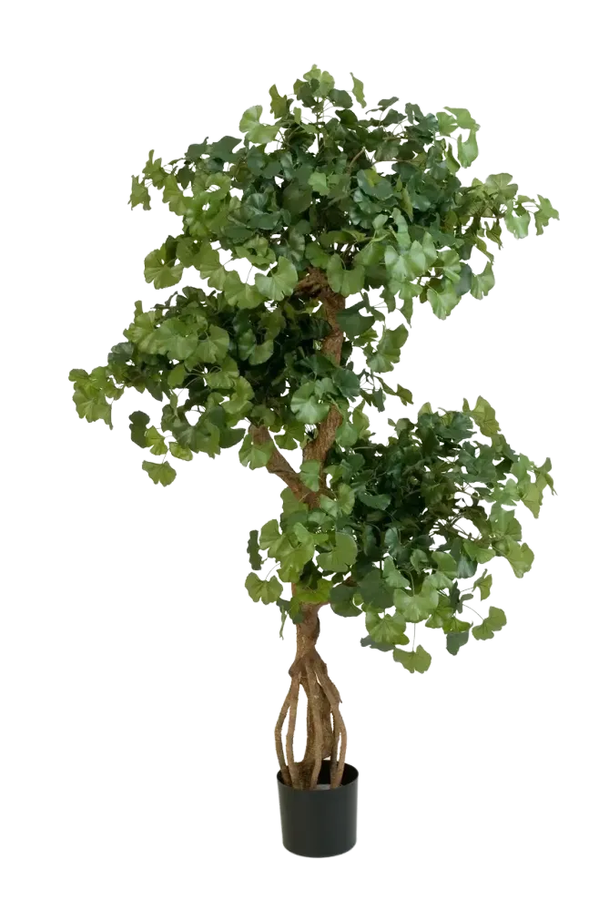 Künstlicher Gingko - Titus | 145 cm feuerhemmend
