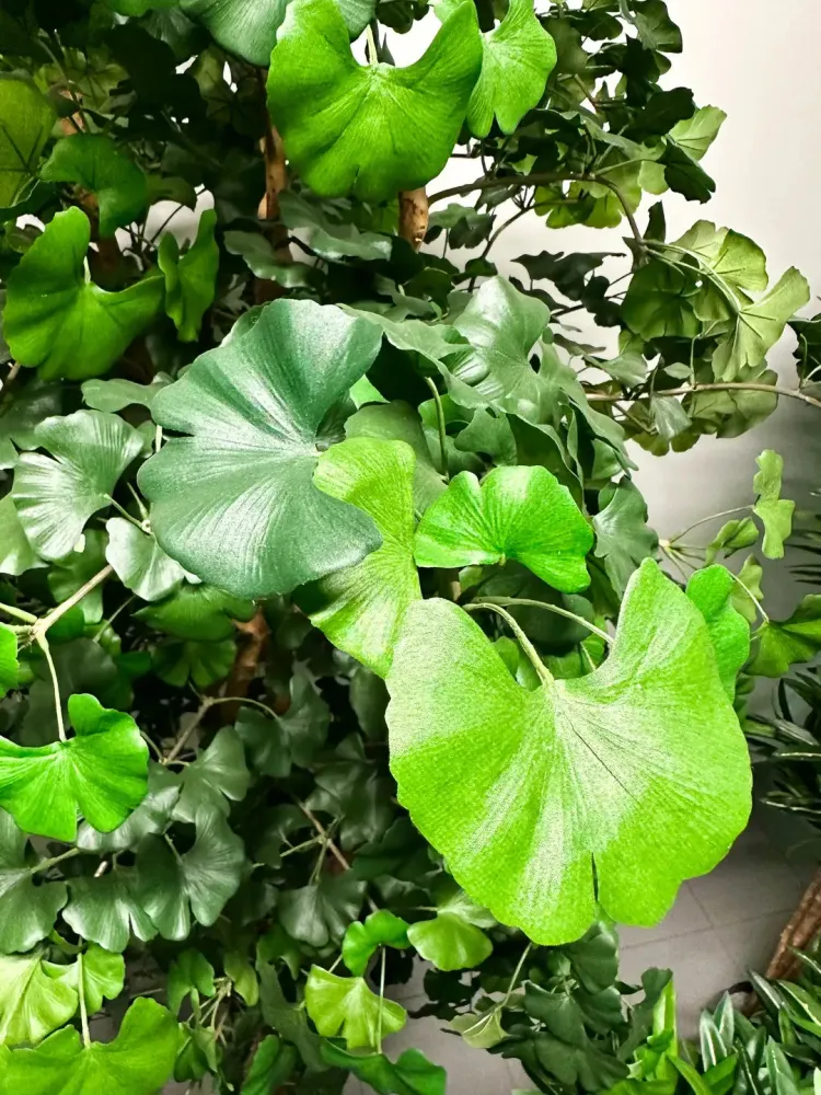 Künstlicher Gingko - Titus | 145 cm feuerhemmend