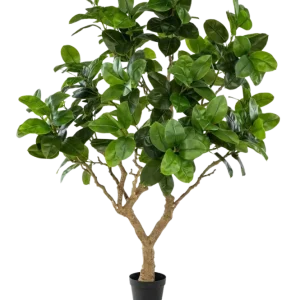Künstlicher Gummibaum - Temptus | 240 cm