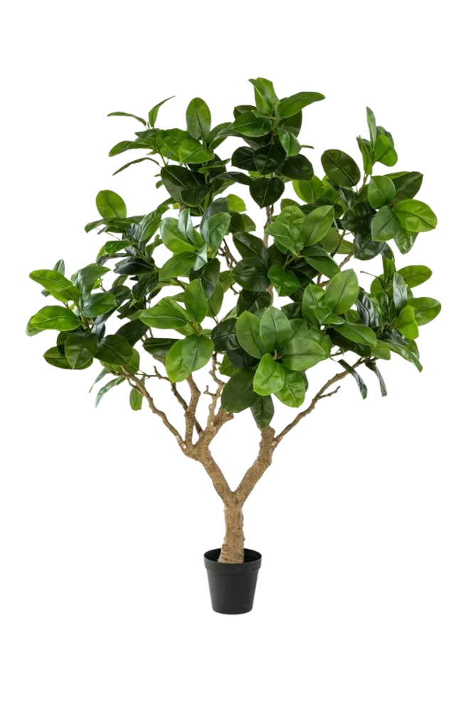 Künstlicher Gummibaum - Temptus | 240 cm