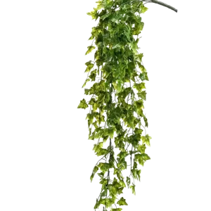 Künstlicher Hänge-Efeu - Kenan | 75 cm