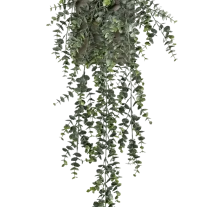 Künstlicher Hänge-Eucalyptus - Richard | 75 cm