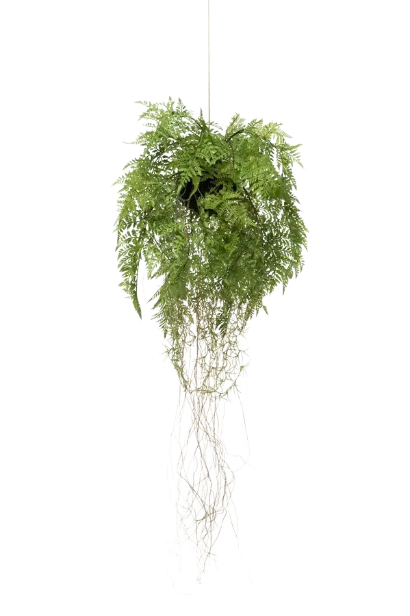 Künstlicher Hänge-Farn - Jolie | 35 cm