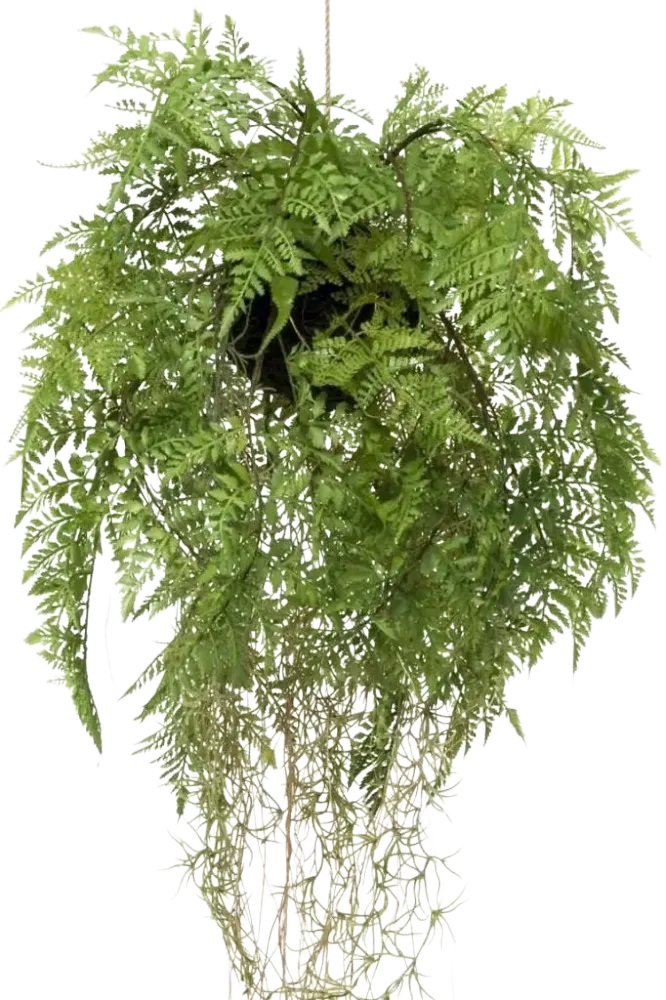 Künstlicher Hänge-Farn - Jolie | 35 cm