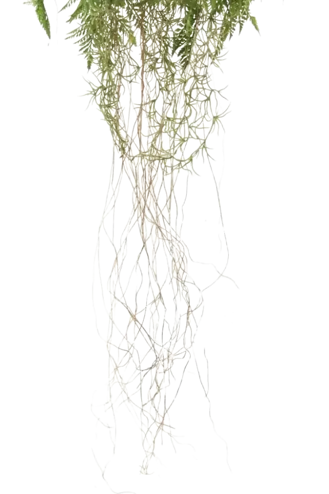Künstlicher Hänge-Farn - Jolie | 35 cm