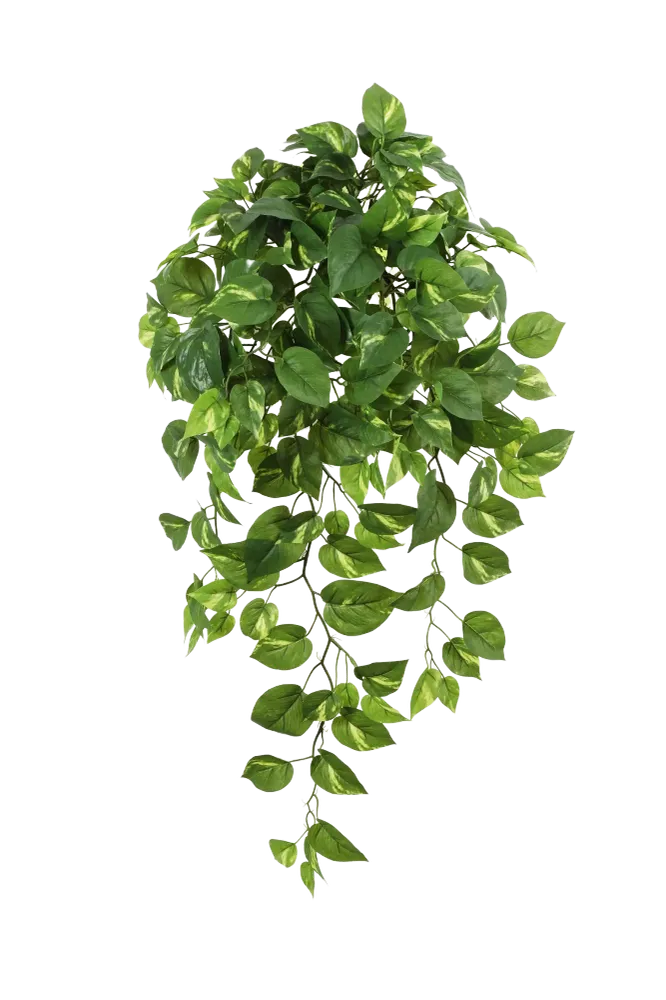 Künstlicher Hänge-Pothos - Bella | 85 cm