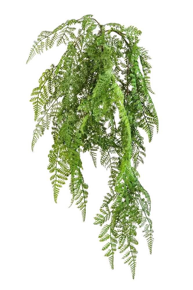 Künstlicher Hänge-Wurmfarn - Bennett | 60 cm