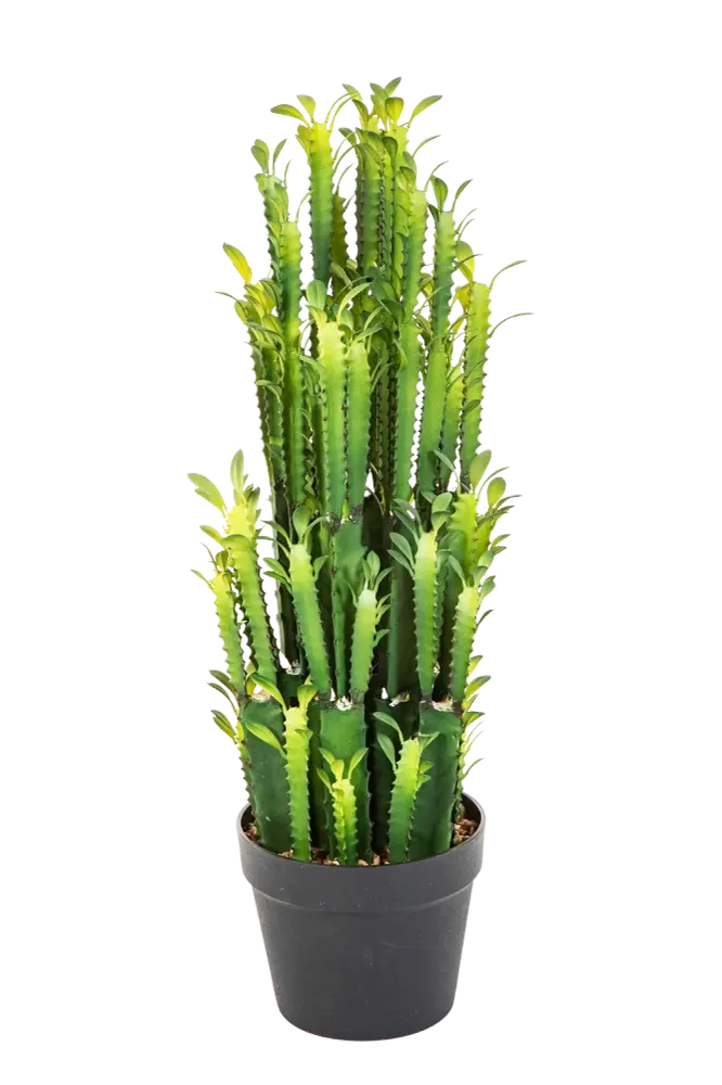 Künstlicher Kaktus - Hermine | 64 cm