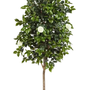 Künstlicher Kamelienbaum - Polly | 170 cm