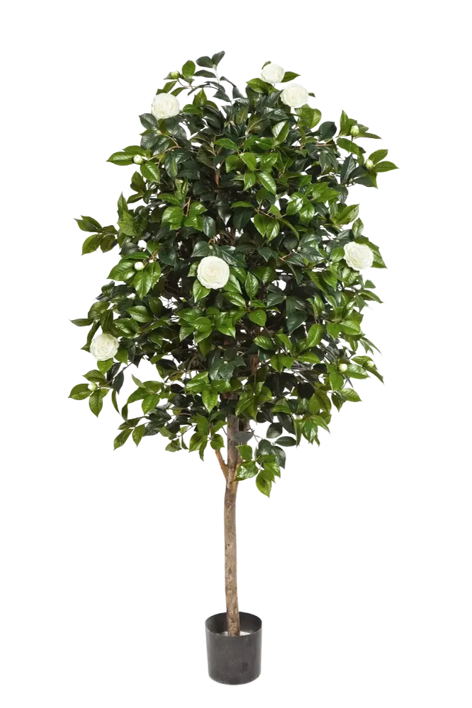 Künstlicher Kamelienbaum - Polly | 170 cm