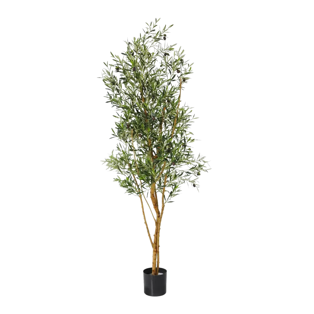 Künstlicher Olivenbaum - Elsbeth | 180 cm