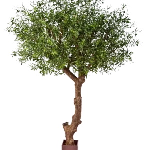 Künstlicher Olivenbaum - Ilias | 270 cm