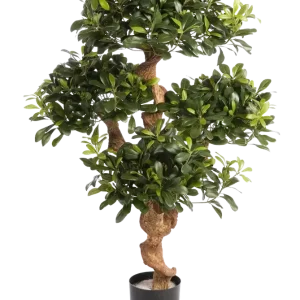 Künstlicher Pittosporum - Pierre | 120 cm