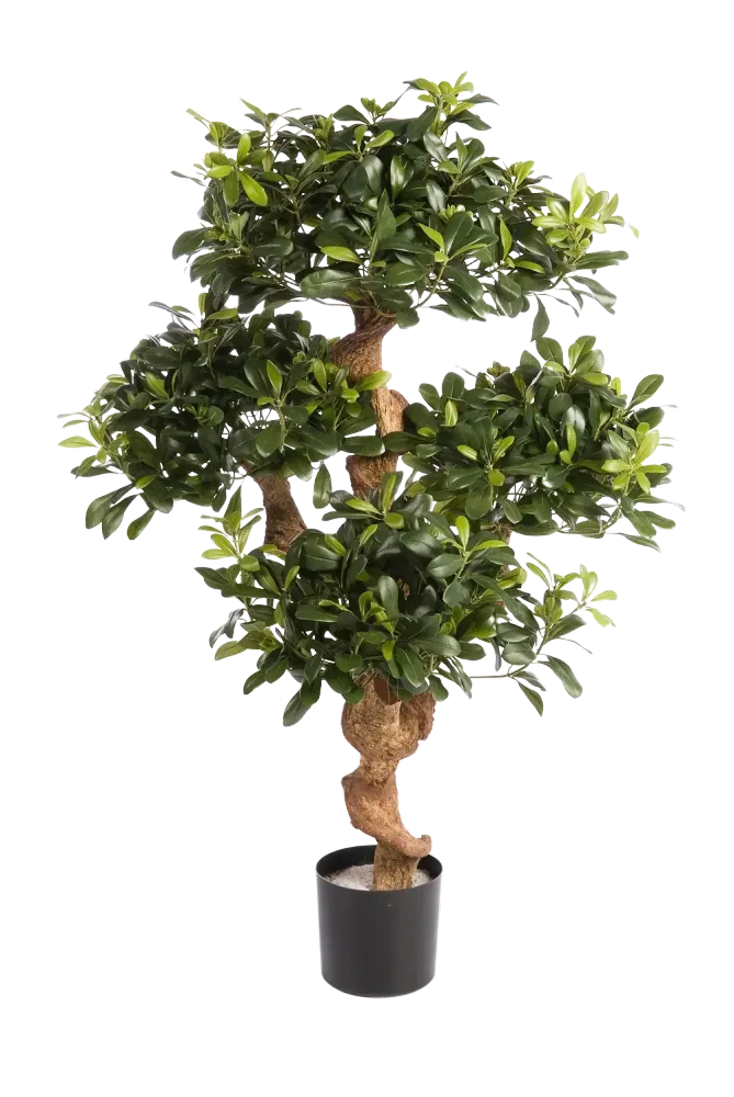 Künstlicher Pittosporum - Pierre | 120 cm
